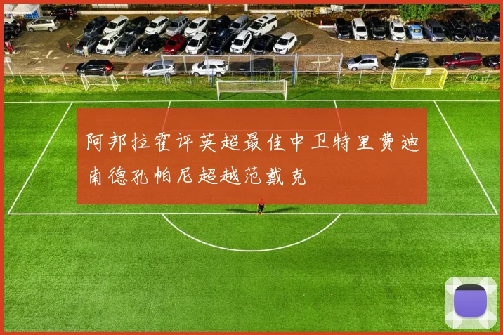 阿邦拉霍评英超最佳中卫特里费迪南德孔帕尼超越范戴克