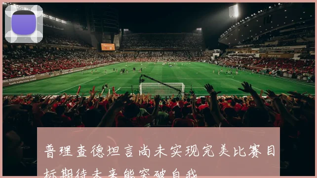 普理查德坦言尚未实现完美比赛目标期待未来能突破自我