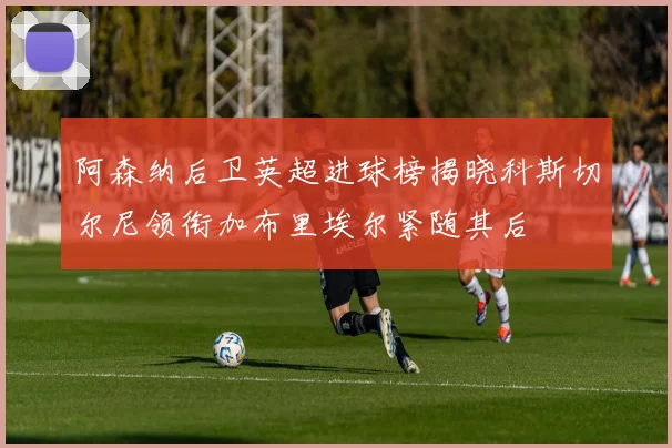 阿森纳后卫英超进球榜揭晓科斯切尔尼领衔加布里埃尔紧随其后
